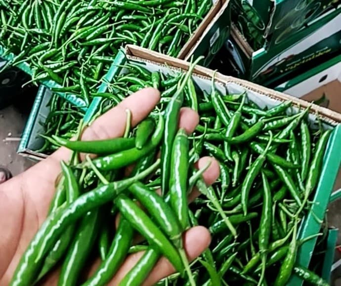 Export Packaging